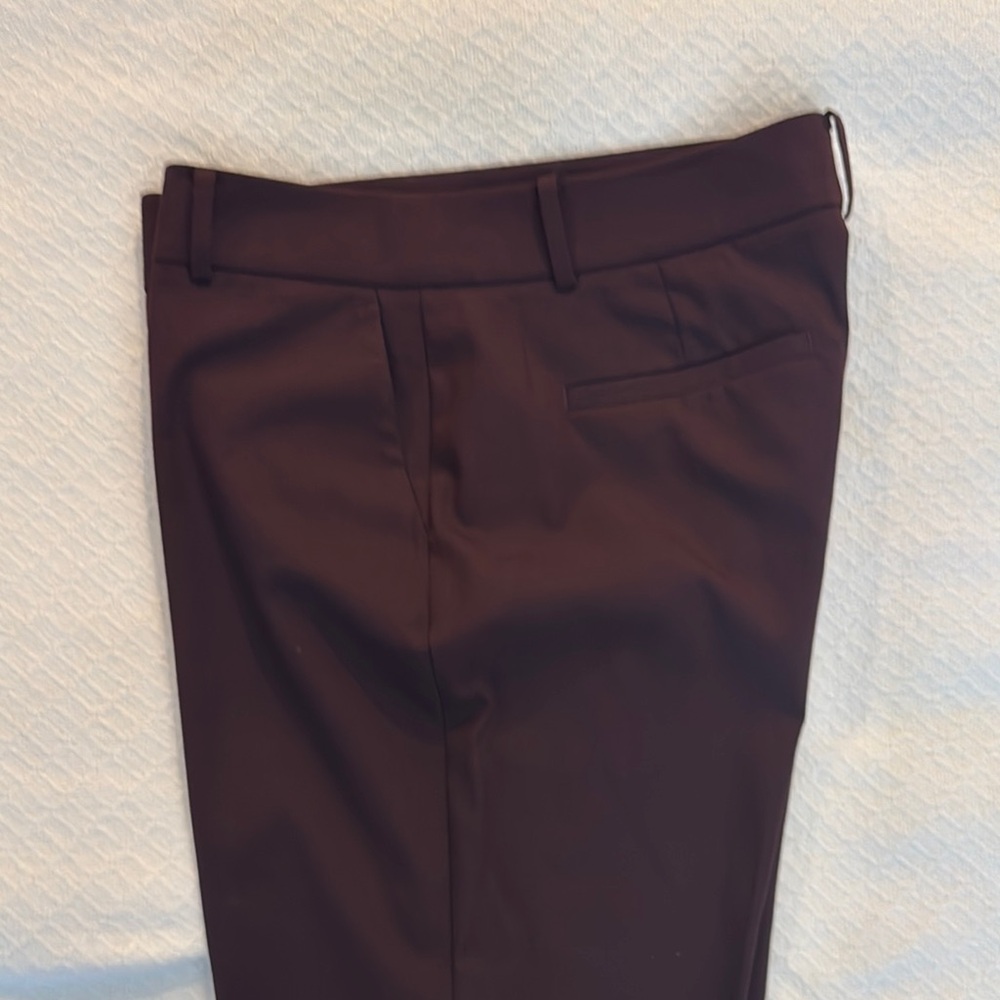 Ann Taylor Cranberry Colored Cropped Ankle Pants
